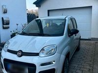 Gebraucht Fiat Panda 70 PS (51 kW) 2021 Weiß Kleinwagen