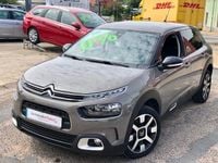 Gebraucht Citroën C4 Cactus Shine 110 PS (80 kW) 2018 Braun Kleinwagen