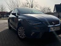Gebraucht Seat Ibiza XCELLENCE 80 PS (58 kW) 2019 Grau Kleinwagen