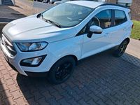 Gebraucht Ford Focus Sport 101 PS (74 kW) 2019 Weiß SUV