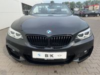 gebraucht BMW 220 i Cabrio M Sport Leder Kurvenlicht Rückfahrkam. Fernlichtass.