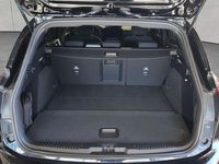 Gebraucht Ford Focus ST-Line X 155 PS (114 kW) 2024 Agate black metallic Kombi