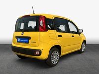 Neu Fiat Panda 69 PS (50 kW) 2025 Gelb Limousine