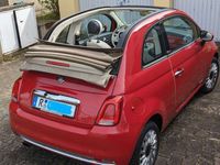 gebraucht Fiat 500C 500C0.9 8V TwinAir Start