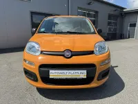 Gebraucht Fiat Panda Easy 69 PS (50 kW) 2017 Arancio solare/zucca Kleinwagen
