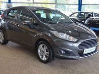 Gebraucht Ford Fiesta Trend 101 PS (74 kW) 2015 Grau Kleinwagen