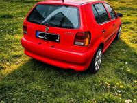 Gebraucht VW Polo 75 PS (55 kW) 1999 Rot Kleinwagen