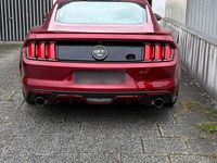 Gebraucht Ford Mustang GT 441 PS (324 kW) 2014 Rot Coupé