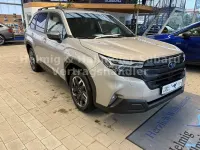 Nouvelle Subaru Forester Active 136 ch (100 kW) 2025 Doré SUV