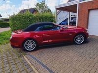 gebraucht Ford Mustang GT Mustang Cabrio 5.0 Ti-VCT V8 Aut.