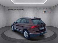gebraucht VW Tiguan Life 1.5 TSI DSG Navi/LED/Sitzhzg Klima