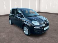 Gebraucht Fiat Panda Easy 69 PS (50 kW) 2017 Schwarz Kleinwagen