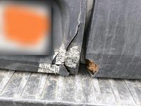 Usata Ford Transit 155 CV (114 kW) 2015 Bianco Monovolume