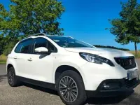 Gebraucht Peugeot 2008 Active 83 PS (61 kW) 2019 Weiß SUV