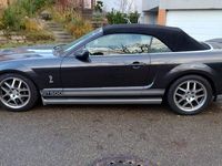 gebraucht Ford Shelby 