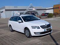 Gebraucht Skoda Octavia GreenLine 110 PS (80 kW) 2014 Weiß Kleinwagen