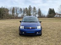 Gebraucht Fiat Panda 4x4 60 PS (44 kW) 2009 Blau Kleinwagen