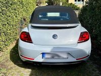 gebraucht VW Beetle 