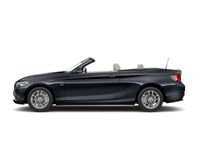 gebraucht BMW 220 i Navi Leder Xenon Luxury Line HiFi Lenkrad heizbar PDC vr.+hi. Sportsitze Driving Assiste