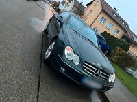 Gebraucht Mercedes CLK320 218 PS (160 kW) 2003 Grün Coupé