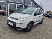 Gebraucht Fiat Panda Cross Cross 69 PS (50 kW) 2024 Weiß Kleinwagen