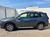 Gebraucht Subaru Forester Active 150 PS (110 kW) 2021 Grau SUV