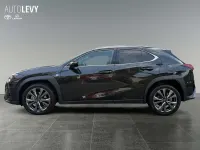 Gebraucht Lexus UX 300h Sport Design Packet 199 PS (146 kW) 2024 Graphite black SUV
