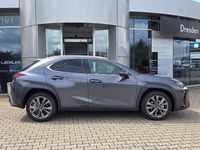 Neu Lexus UX 300h Sport Design Packet 199 PS (146 kW) 2026 Obsidiangrau SUV