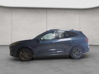 Gebraucht Ford Kuga ST-Line X 150 PS (110 kW) 2023 Chroma blau metallic SUV