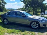 Gebraucht Jaguar XF Pure 200 PS (147 kW) 2018 Beige Limousine