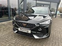 Gebraucht Cupra Formentor 150 PS (110 kW) 2023 Andere SUV
