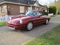 Gebraucht Alfa Romeo Spider 120 PS (88 kW) 1992 Rot Cabrio