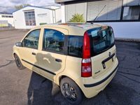 gebraucht Fiat Panda 1,2, Tüv11/2024, Panoramadach