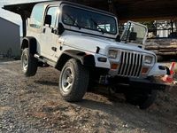 Gebraucht Jeep Wrangler 121 PS (88 kW) 1994 Weiß SUV