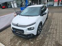 Gebraucht Citroën C3 Shine 105 PS (77 kW) 2019 Weiß Kleinwagen