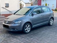 Gebraucht VW Golf Plus Cross Edition 102 PS (75 kW) 2007 Grau Van / Kleinbus