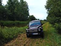 Gebraucht Mercedes G500 296 PS (217 kW) 1999 Violet SUV