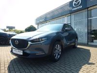 Gebraucht Mazda CX-30 Selection 116 PS (85 kW) 2020 Grau SUV