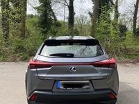 gebraucht Lexus UX 250h Launch Edition Launch Edition