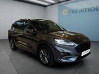 Gebraucht Ford Kuga 190 PS (139 kW) 2021 Grau SUV
