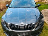 Gebraucht Skoda Octavia Style 150 PS (110 kW) 2019 Grau Kombi