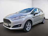 gebraucht Ford Fiesta 1.0 EcoBoost Titanium, Navi, Bluetooth, Winterpaket