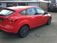Brugt Ford Focus Trend 125 HK (91 kW) 2015 Rød Hatchback