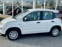 Gebraucht Fiat Panda Cross Cross 70 PS (51 kW) 2024 Weiß Kleinwagen