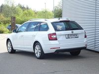 Gebraucht Skoda Octavia Ambition 150 PS (110 kW) 2020 Moonweiss metallic Kombi