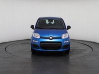 Neu Fiat Panda 69 PS (50 kW) 2025 Blau, italia blue Kleinwagen