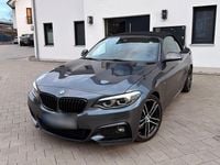 Gebraucht BMW 230 M Sport 252 PS (185 kW) 2017 Grau Cabrio