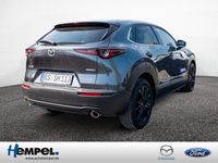 Gebraucht Mazda CX-30 Exclusive 186 PS (136 kW) 2024 Grau SUV