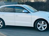 gebraucht Audi SQ5 - Super Ausstattung - Panorama - Sport S line