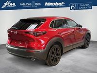 Neu Mazda CX-30 140 PS (102 kW) 2026 Rot SUV